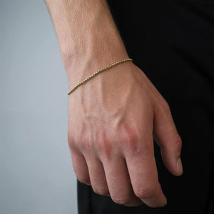 Collier Armband 2 mm Gold