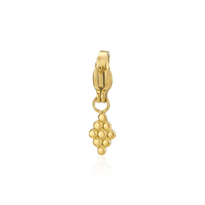 DYO Trauben Gold
