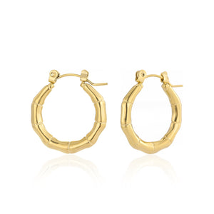 Ohrring bambo Gold
